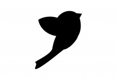 Bird icon | Vector free files