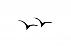 Flying Birds | Vector free files