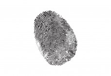 Fingerprint | Vector free files