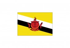 Flag of Brunei Free Vector | Vector free files