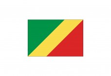 Flag of Republic of the Congos Free Vector | Vector free files