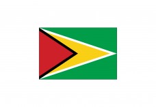 Flag of Guyana Free Vector | Vector free files