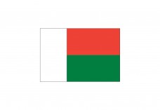 Flag of Madagascar Free Vector | Vector free files