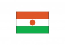 Flag of Niger Free Vector | Vector free files