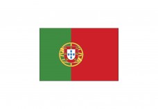 Flag of Portugal | Vector free files