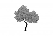 Tree | Vector free files